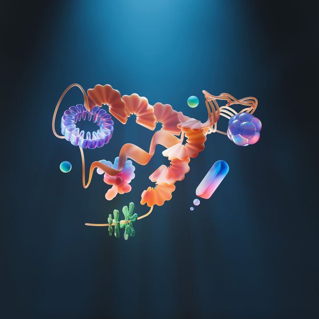 Medical and Genral - Image 5